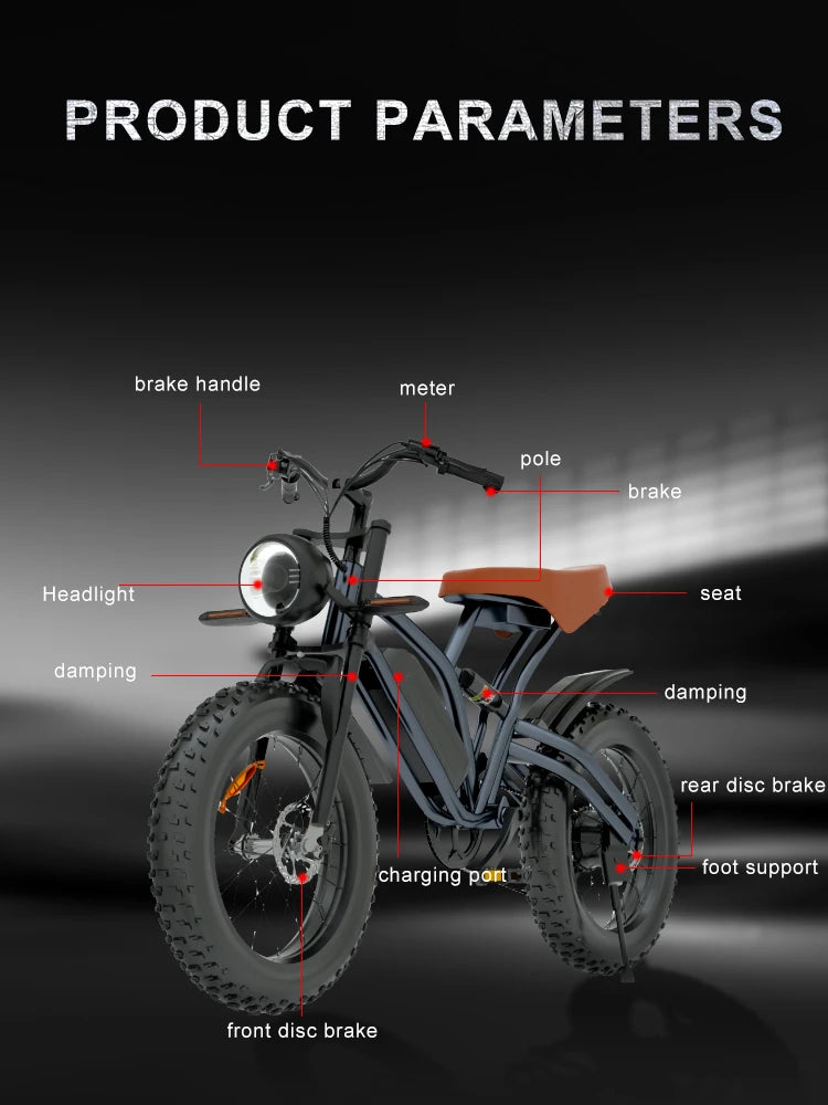 Jansno X50 Wide Fat Tire 20 Inch Mountain Ebike Variable Speed Travel Retro Off Road Beach Motorcycle Power Electric Bicycle