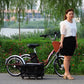 3 Wheel Electric Tricycle for Adult 350W 48V 7 Speed 20 Inch Retro Electric Cargo Bike for Men's Women's with Pull Basket