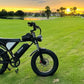 Ridstar Q20 Discount Electric Bike 2000W 52V 40AH Waterproof Powerful Dual Motors 20*4.0 Fat Tires for Mountain Ebike Adults