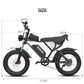 Ridstar Q20 Discount Electric Bike 2000W 52V 40AH Waterproof Powerful Dual Motors 20*4.0 Fat Tires for Mountain Ebike Adults