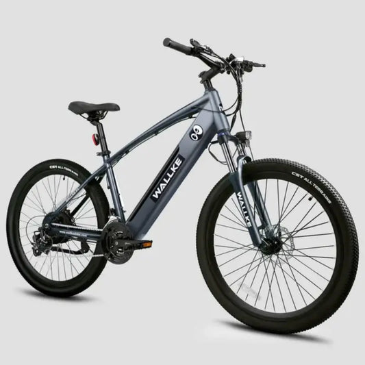 Wallke F1 Electric Mountain Bike for Adults 500W 26 inch 21-Speed 48V 10.4Ah eBikes Removable Battery-UL Certified