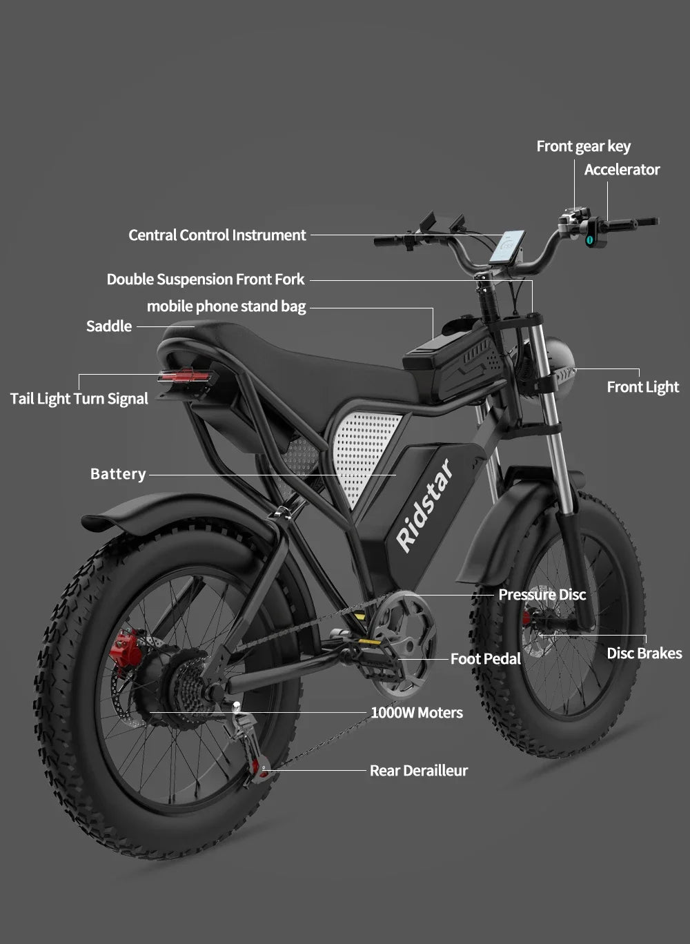 Ridstar Q20 Discount Electric Bike 2000W 52V 40AH Waterproof Powerful Dual Motors 20*4.0 Fat Tires for Mountain Ebike Adults