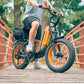 Cyrusher Kommoda Step-through Full Suspension Electric Bike for Adults Fat Tire BaFang 750W Motor  48V14ah Lithium-ion Battery